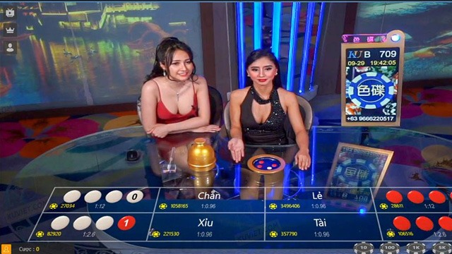 Kubet Casino